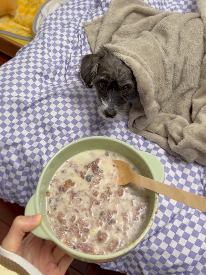 绝育后吃饭都得端到床上吃