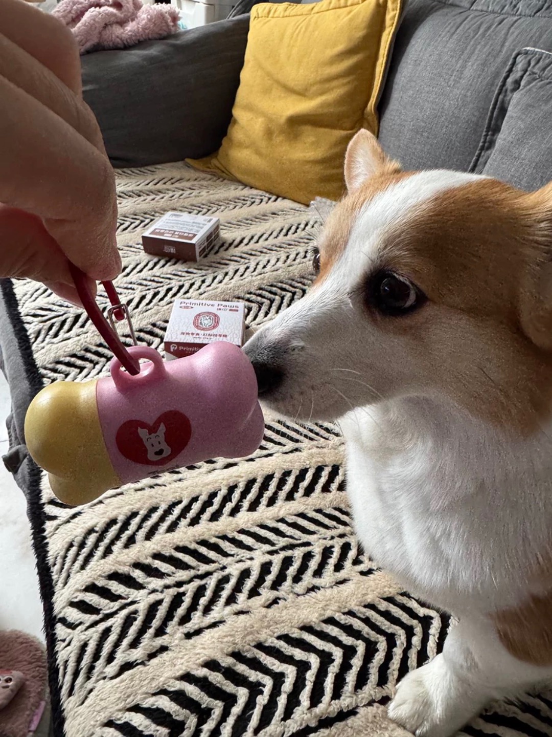 Tagi的捡屎袋也太好看了吧