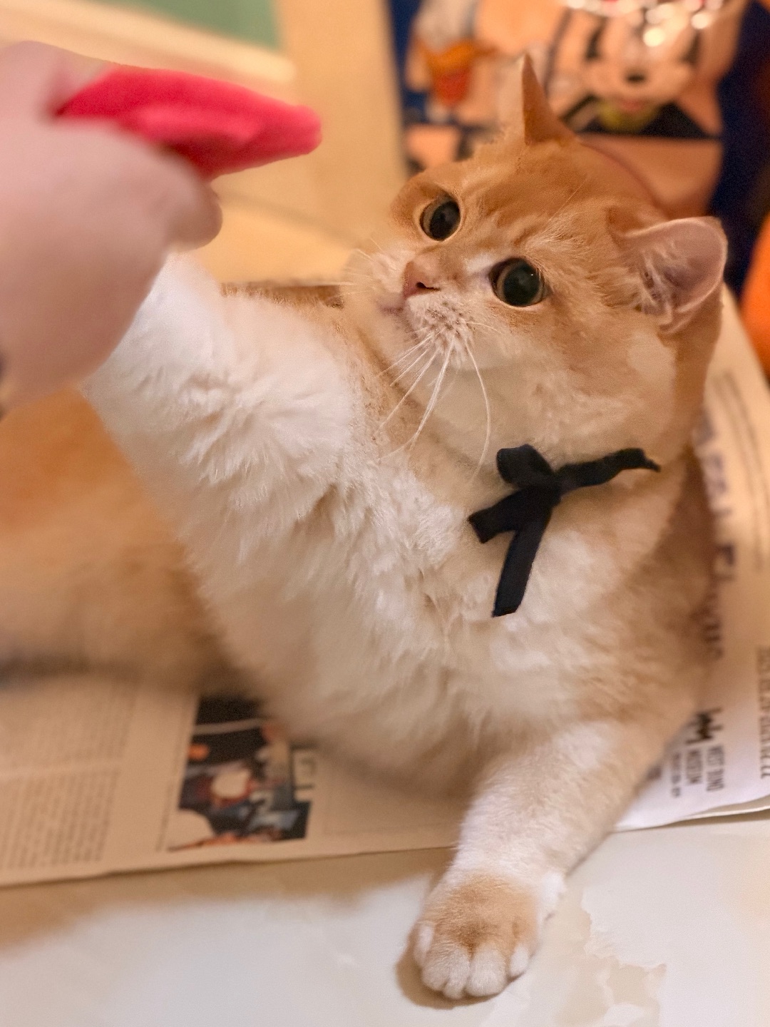 呜呜呜呜😭挨打了好委屈