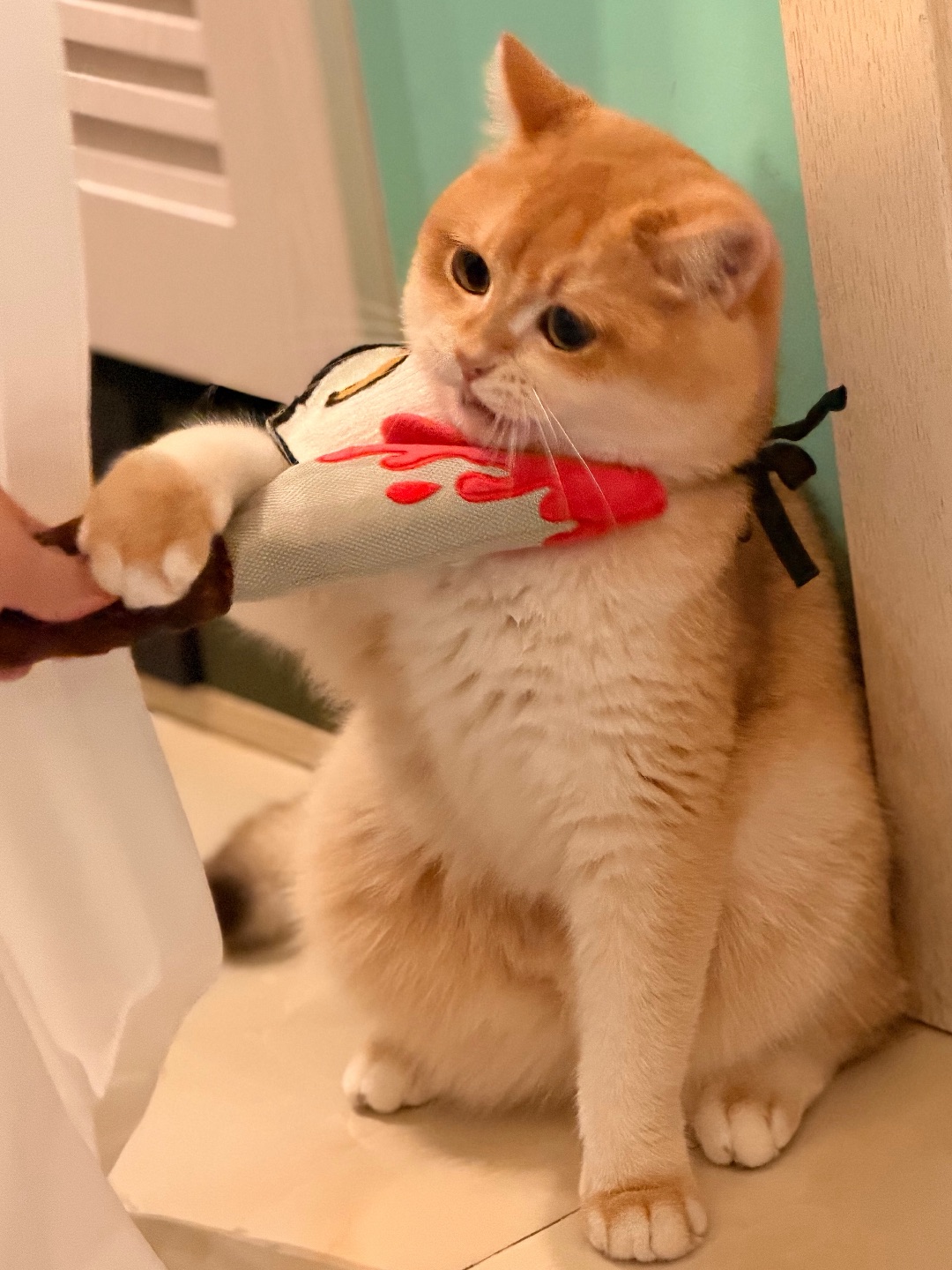 一把夺回自己的“刀”✌️