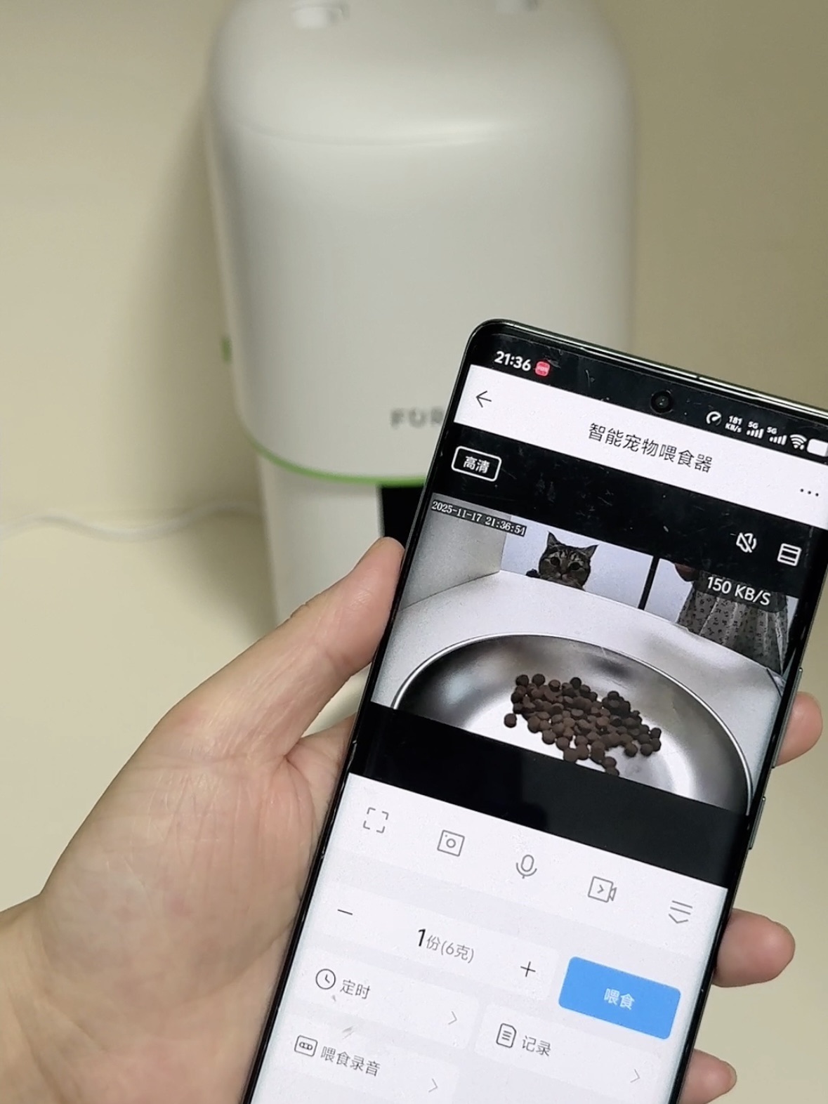 “麻！喵终于可以按时吃饭啦”