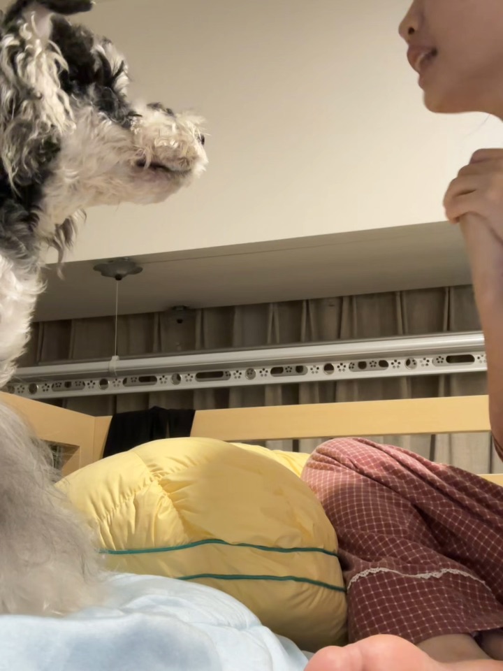 欢迎收看三旬小狗骗人记