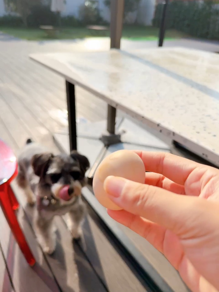 一人一狗向往的生活