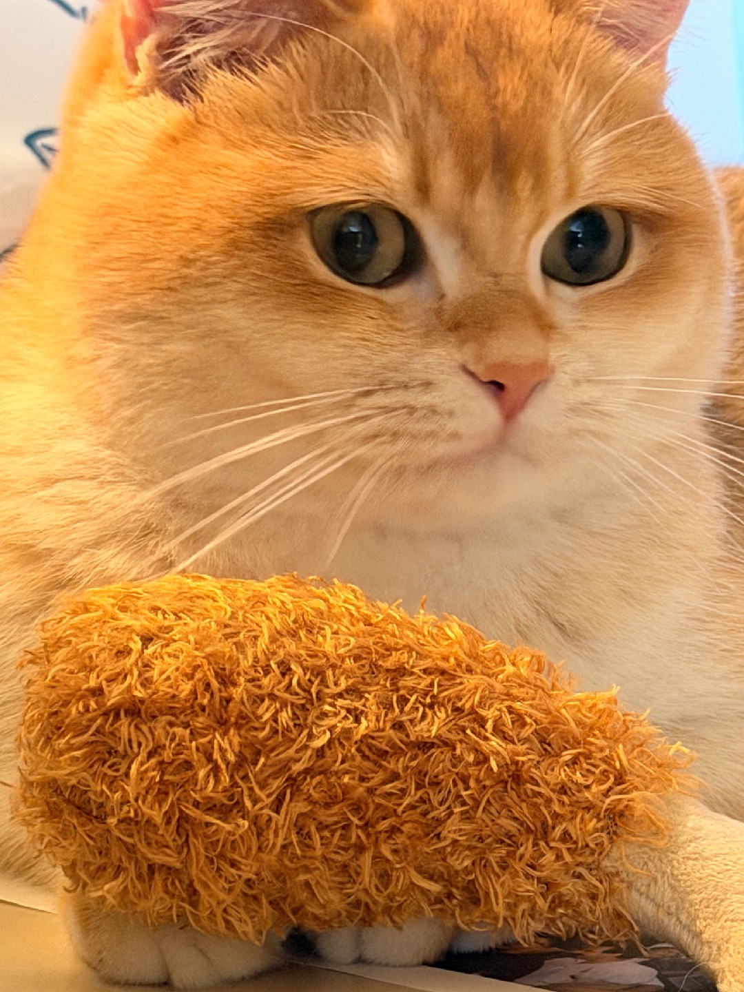 瞧你这小眼神🌟