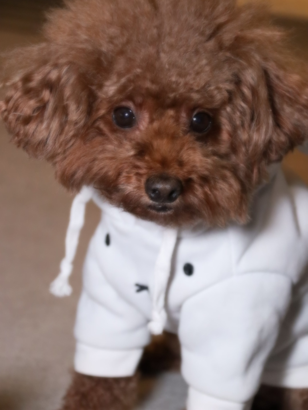 我，修勾勾有新衣服啦