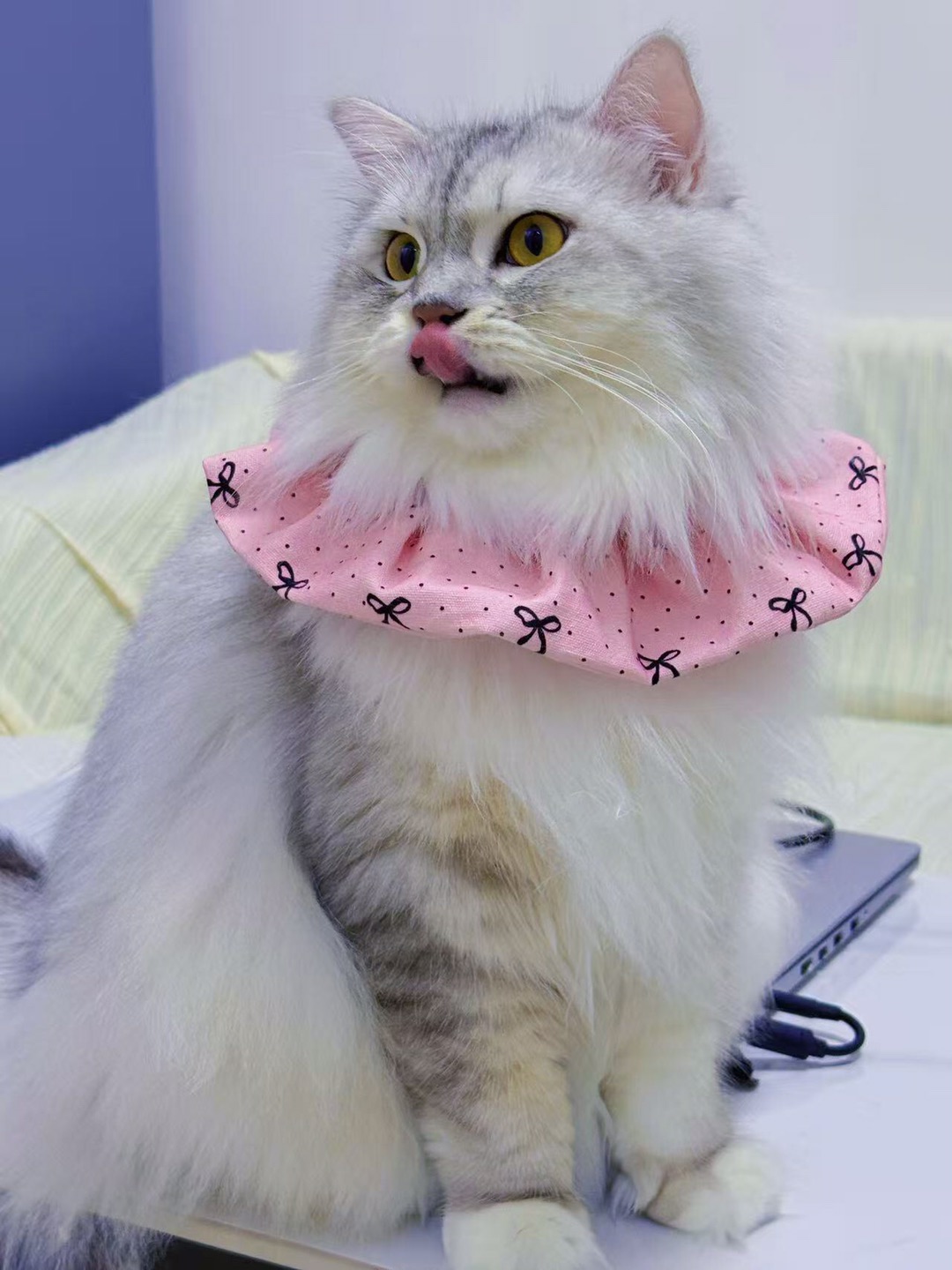 🎀蝴蝶结围脖🎁