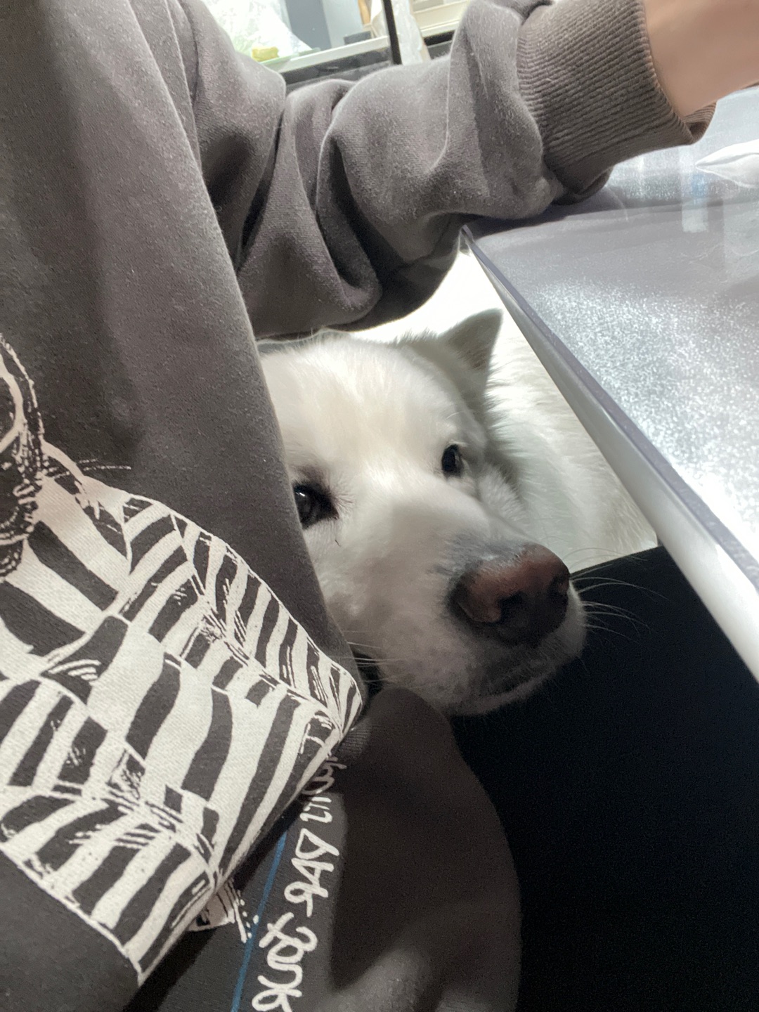 小斗眼神 ◔.̮◔✧