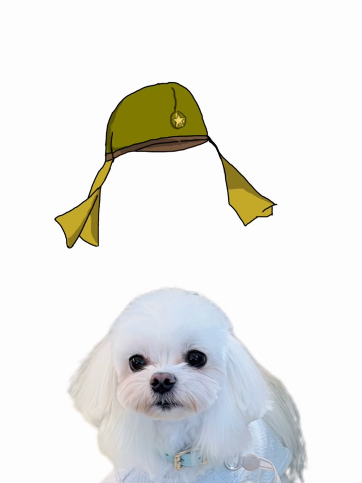 人 暂停一下⏸️