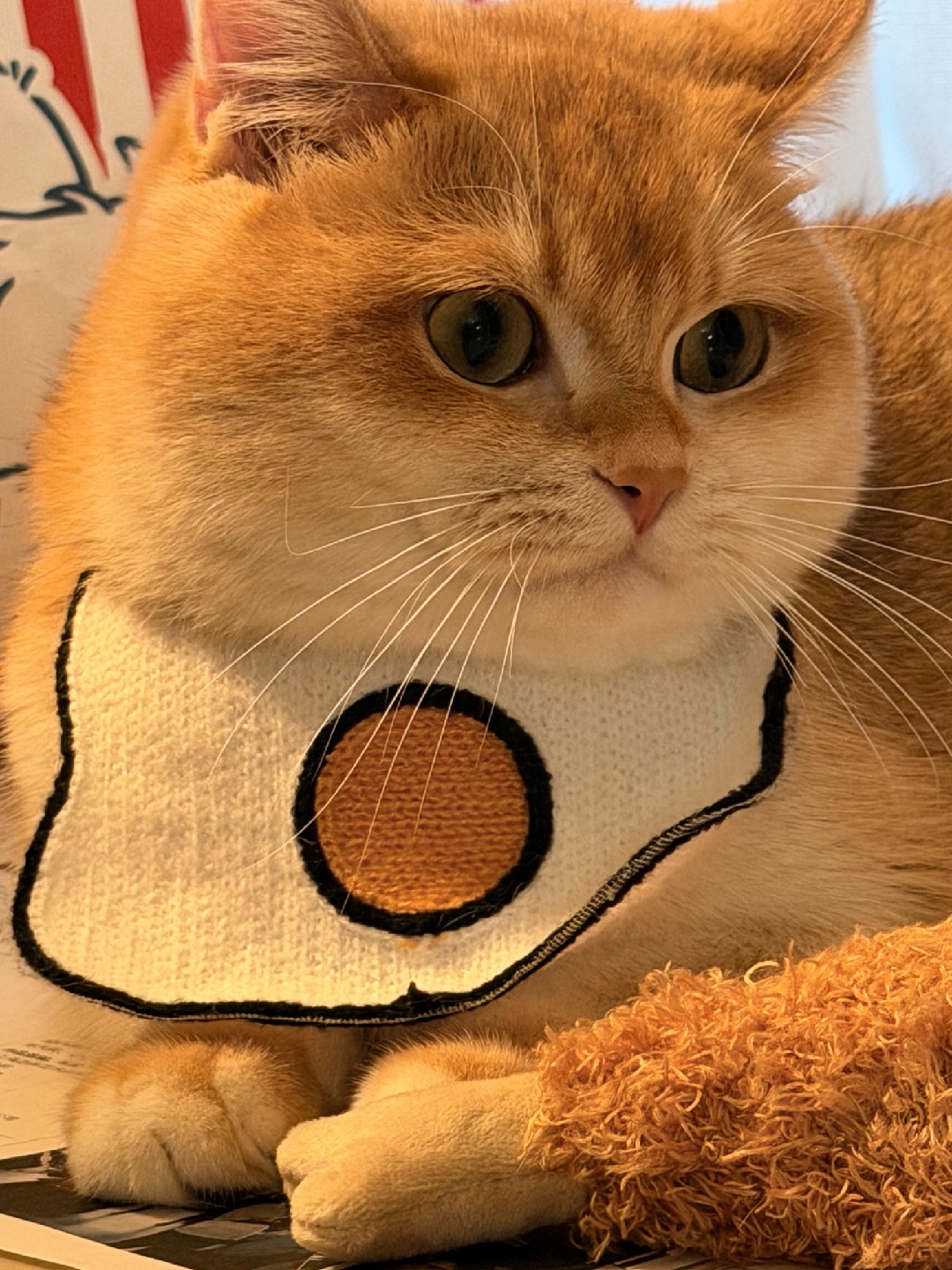 我与鸡腿🍗有个约会