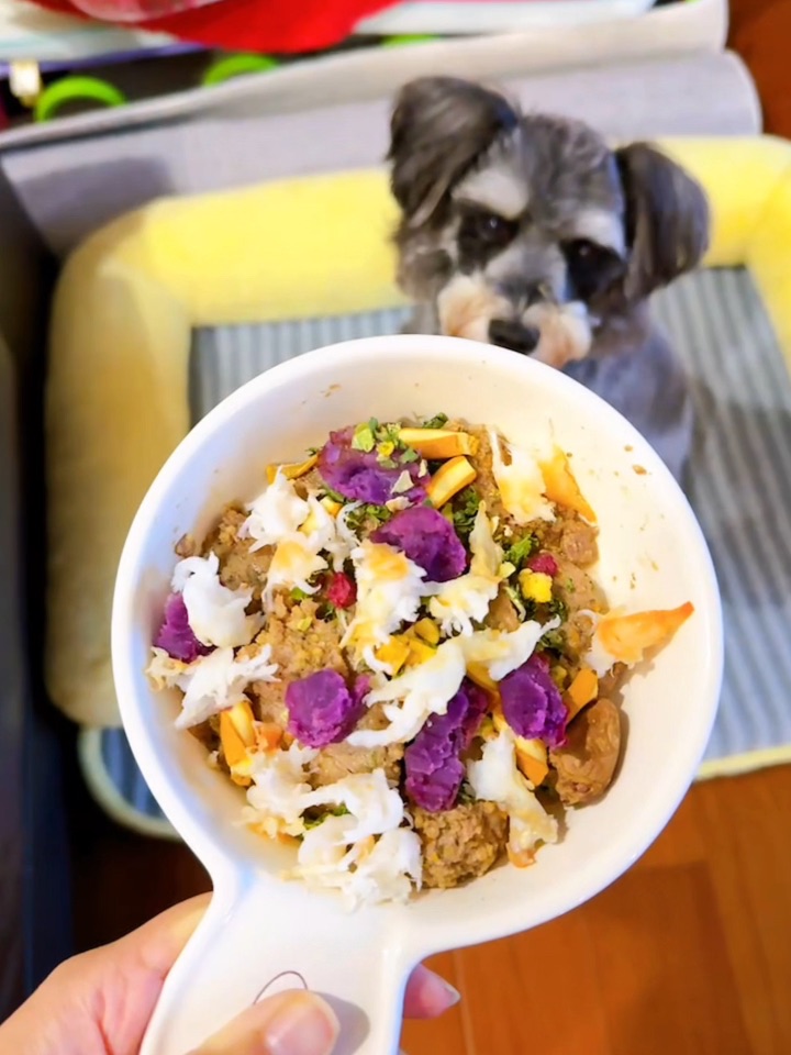 端着小狗饭找外婆加餐