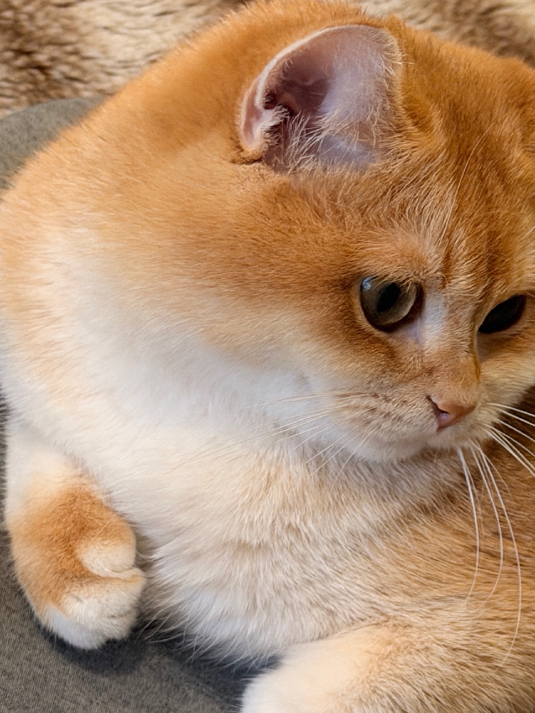 麻麻～ 你看我是不是长大了呀