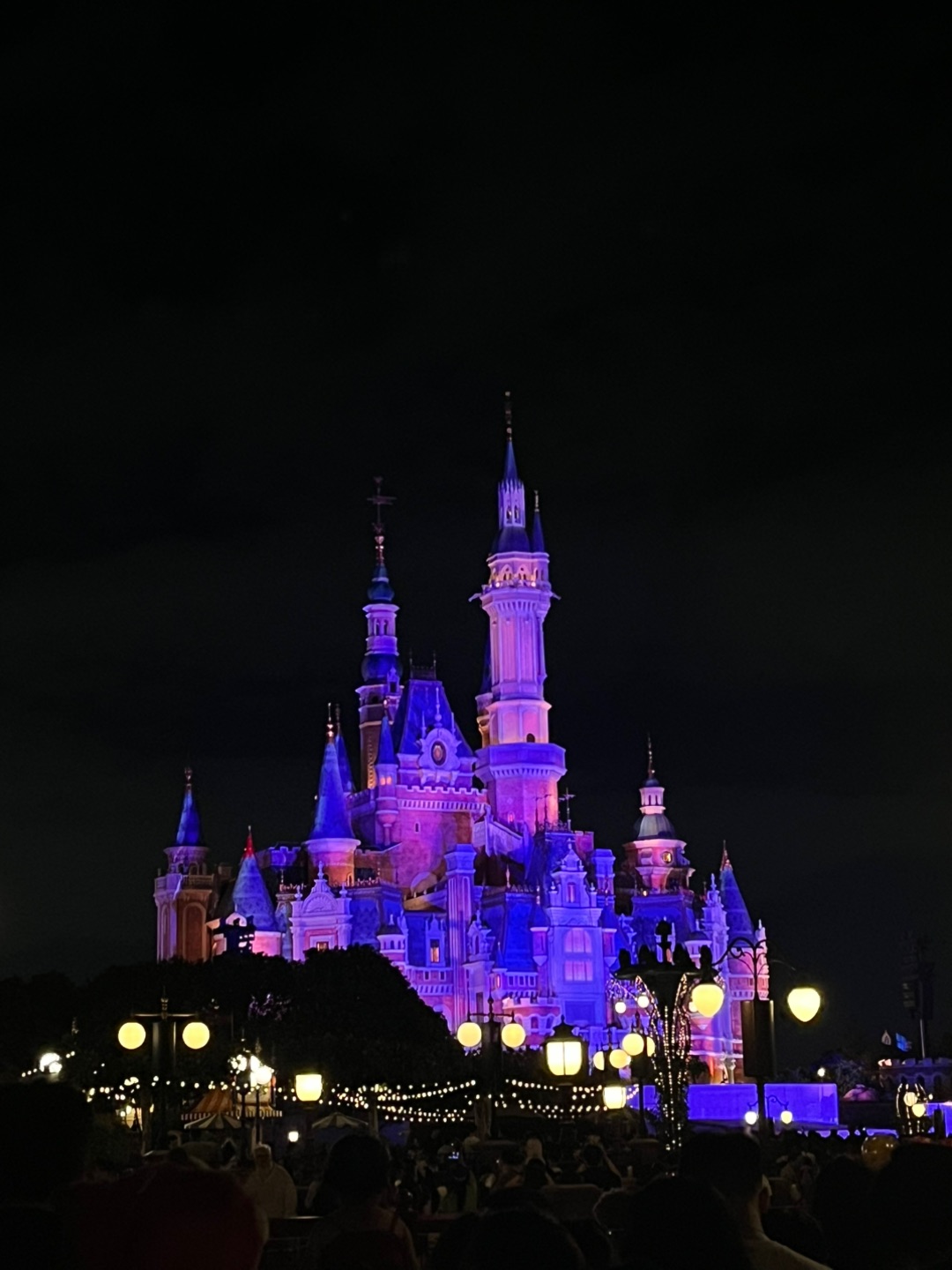 晚上的迪士尼