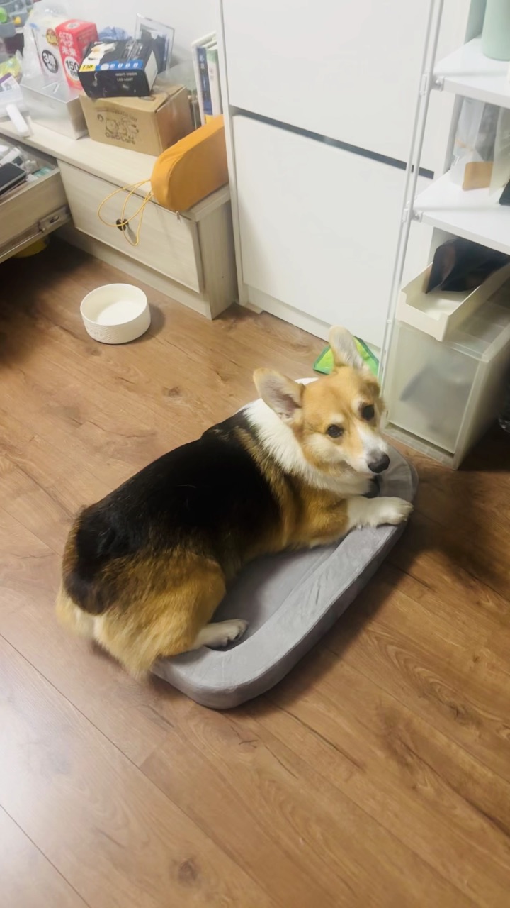 当我窝买错了尺寸