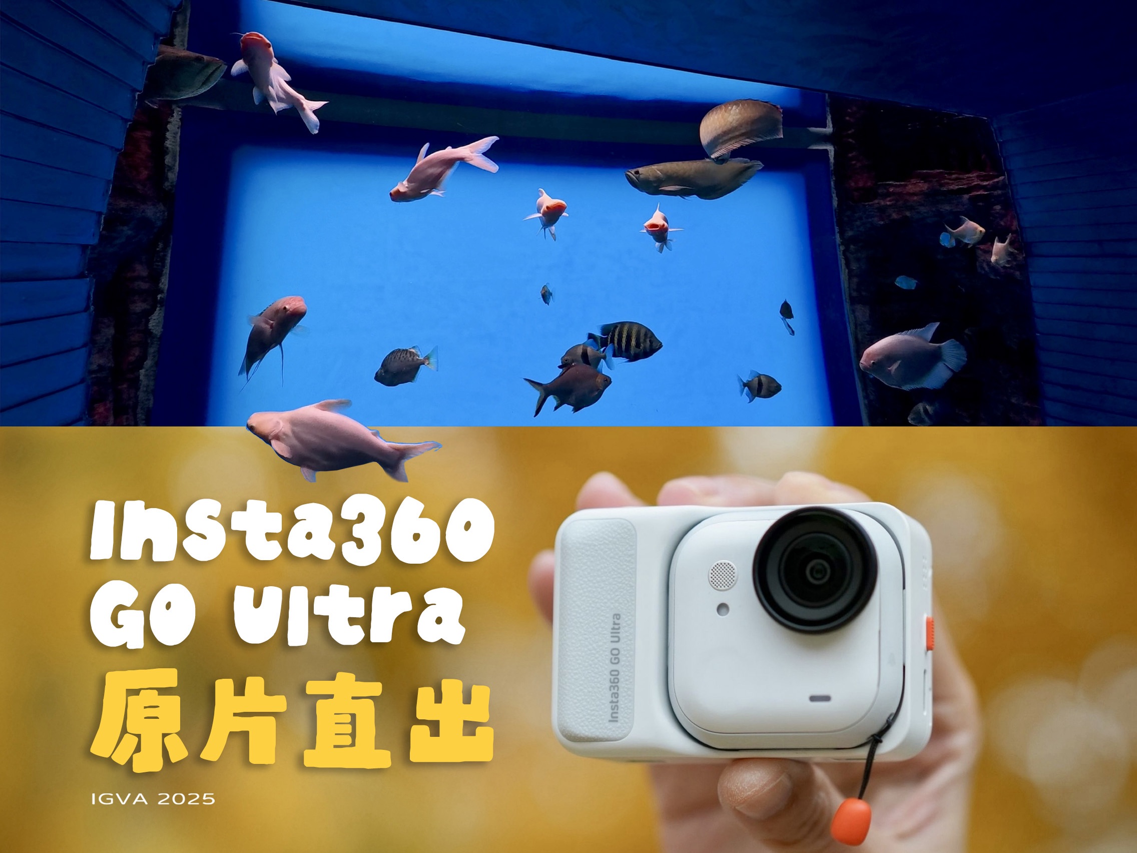 原片直出！Insta360 GO Ultra眼中的夏与秋🍂