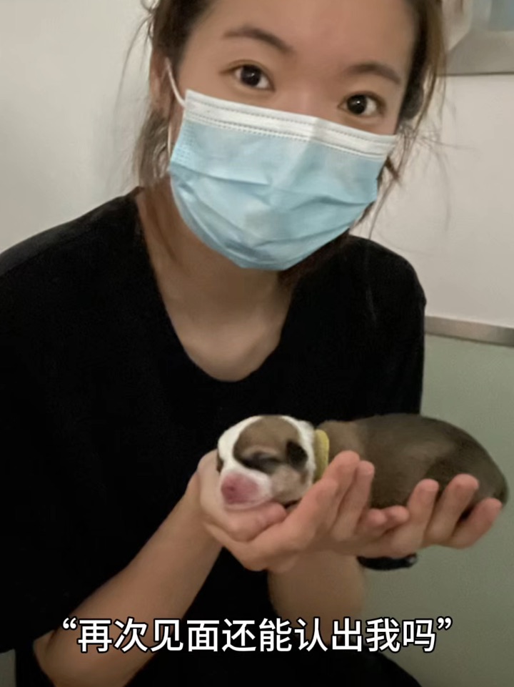 是捧在手心里的小狗呀