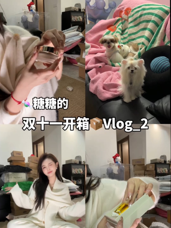 主播双十一的100件快递拆箱-2