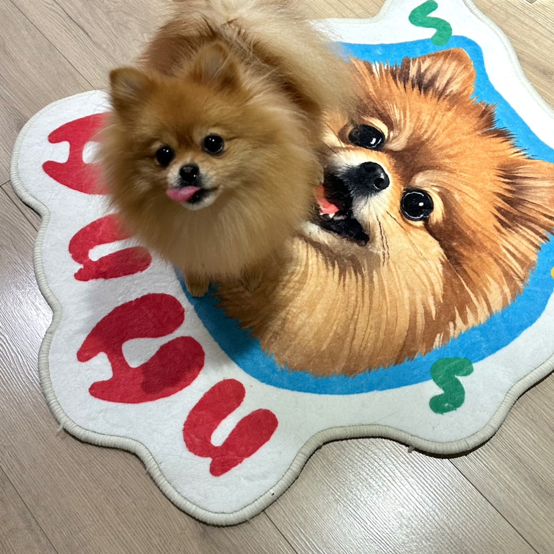 西五街