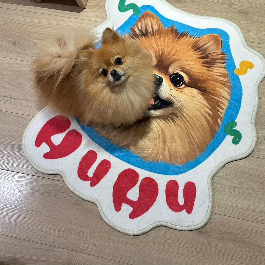 小狗周边真的太可爱辣