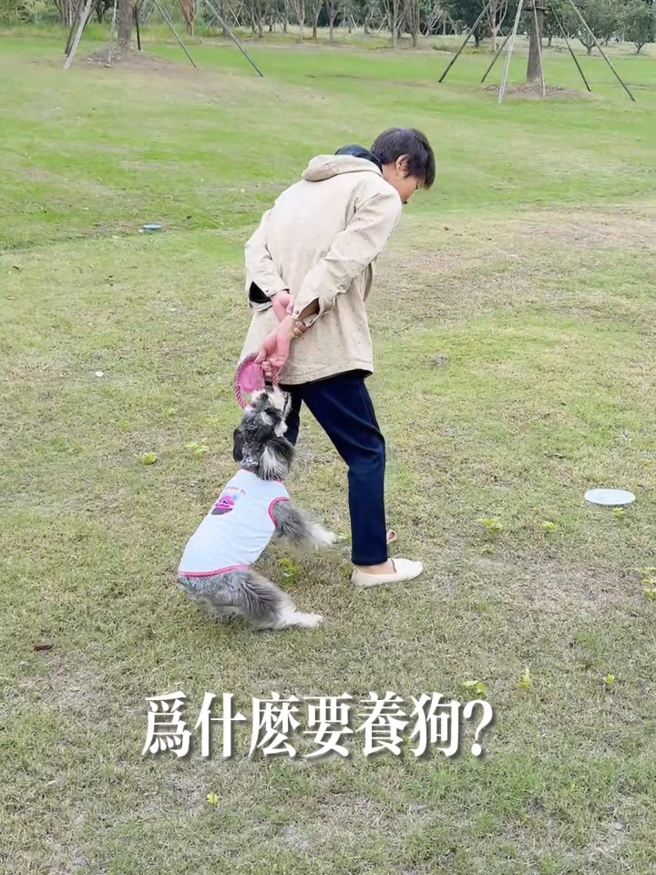 小狗才是生活的解药