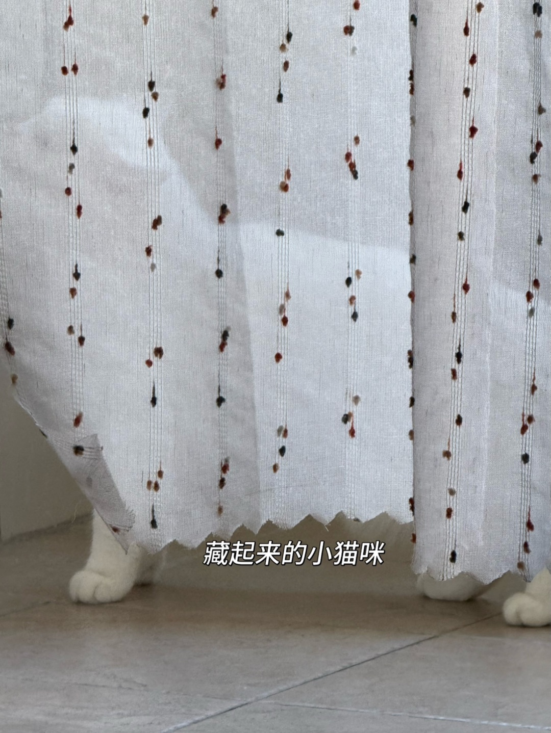 “躲猫猫”日常