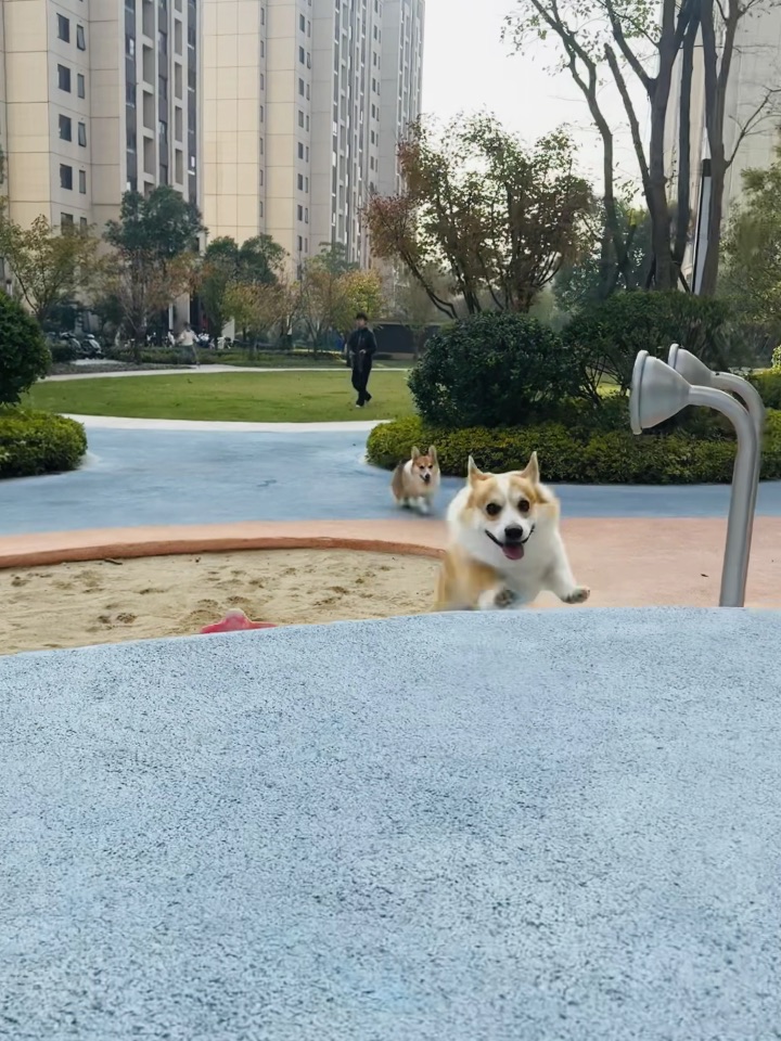 今天是运动健将！