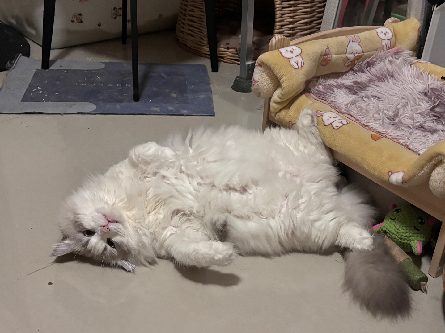 地板再冷，我也要躺21-2