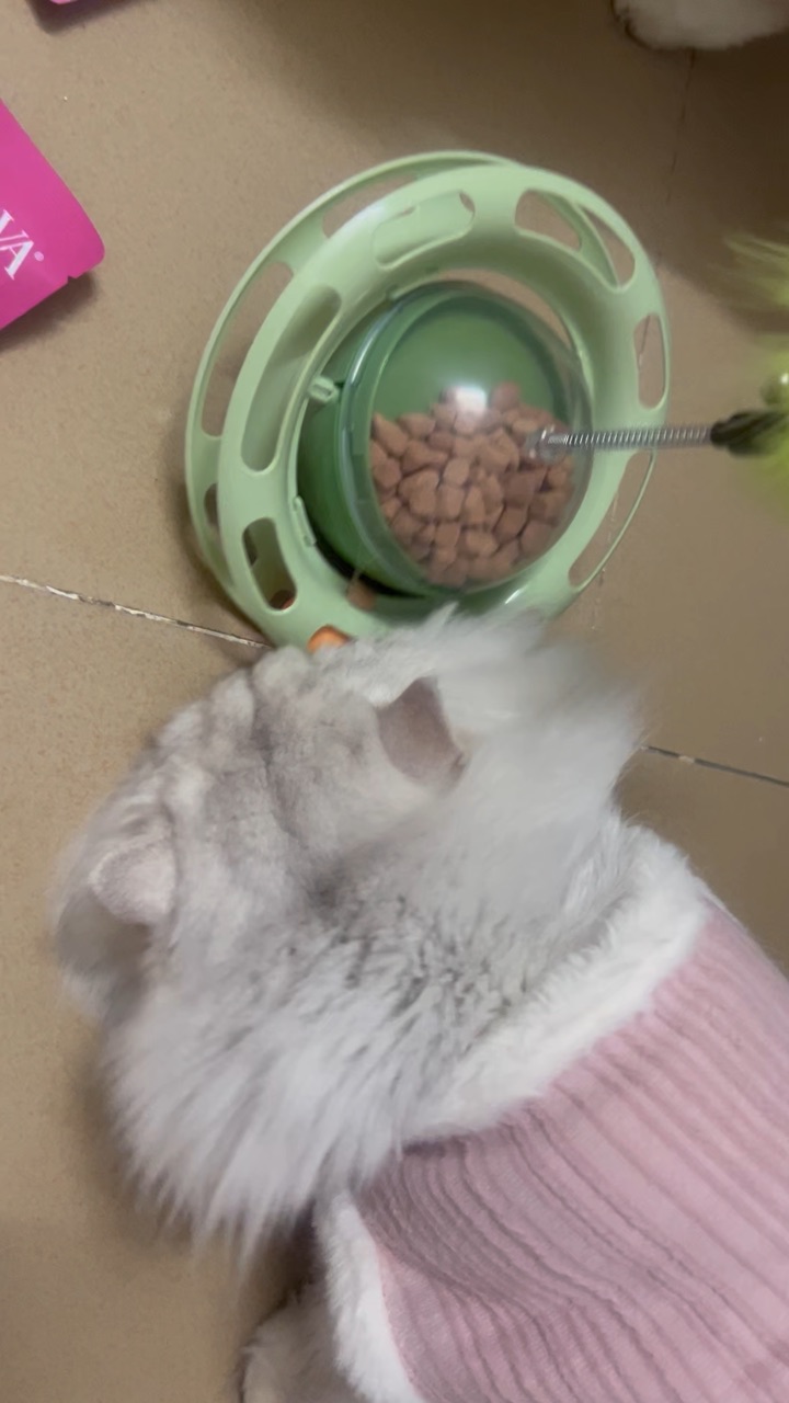 还在学习中怎么让冻干掉下来哈哈