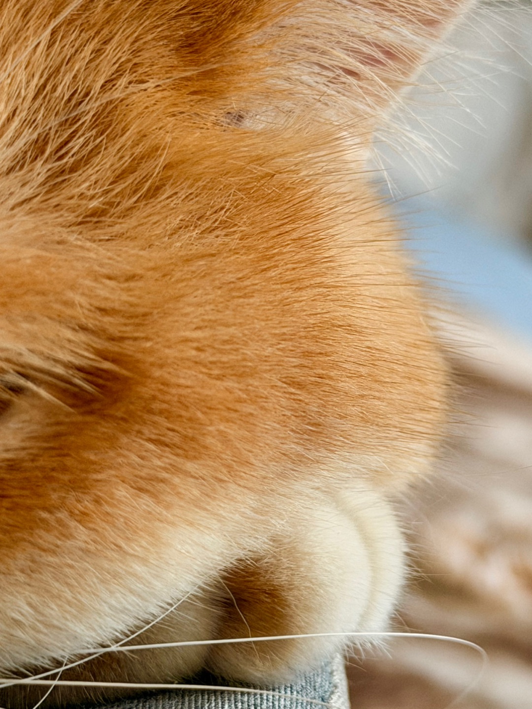 猜猜这是什么？我有可能是尼克同款哦🫣🫣🫣