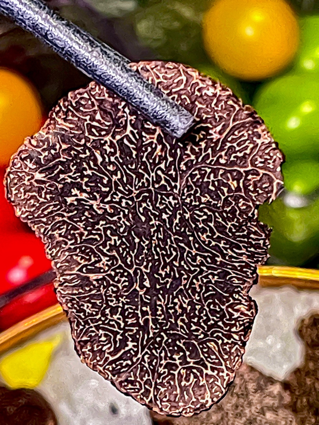 🍄北京这家菌菇锅！鲜到我想住店里‼️🤯