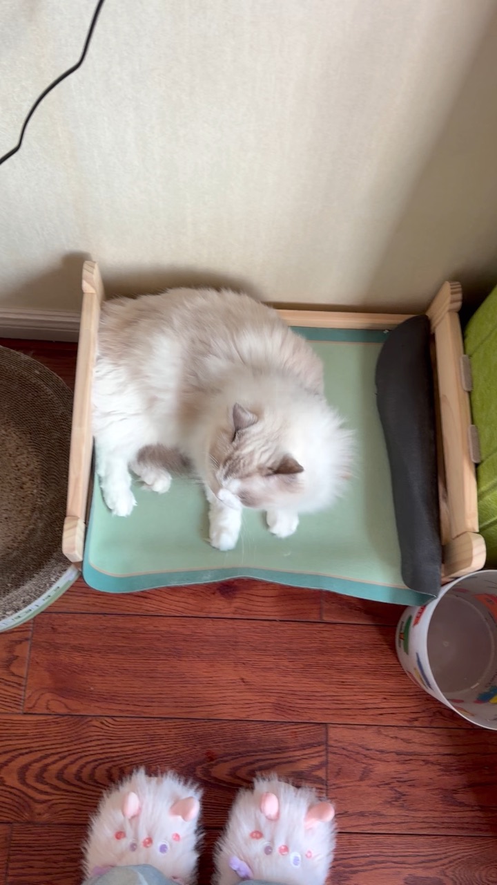 24好可爱的宝宝🍼