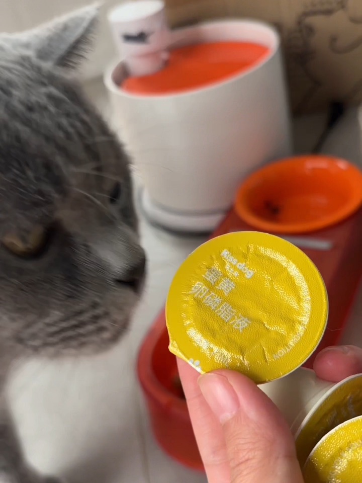 分享一个好喝的东西