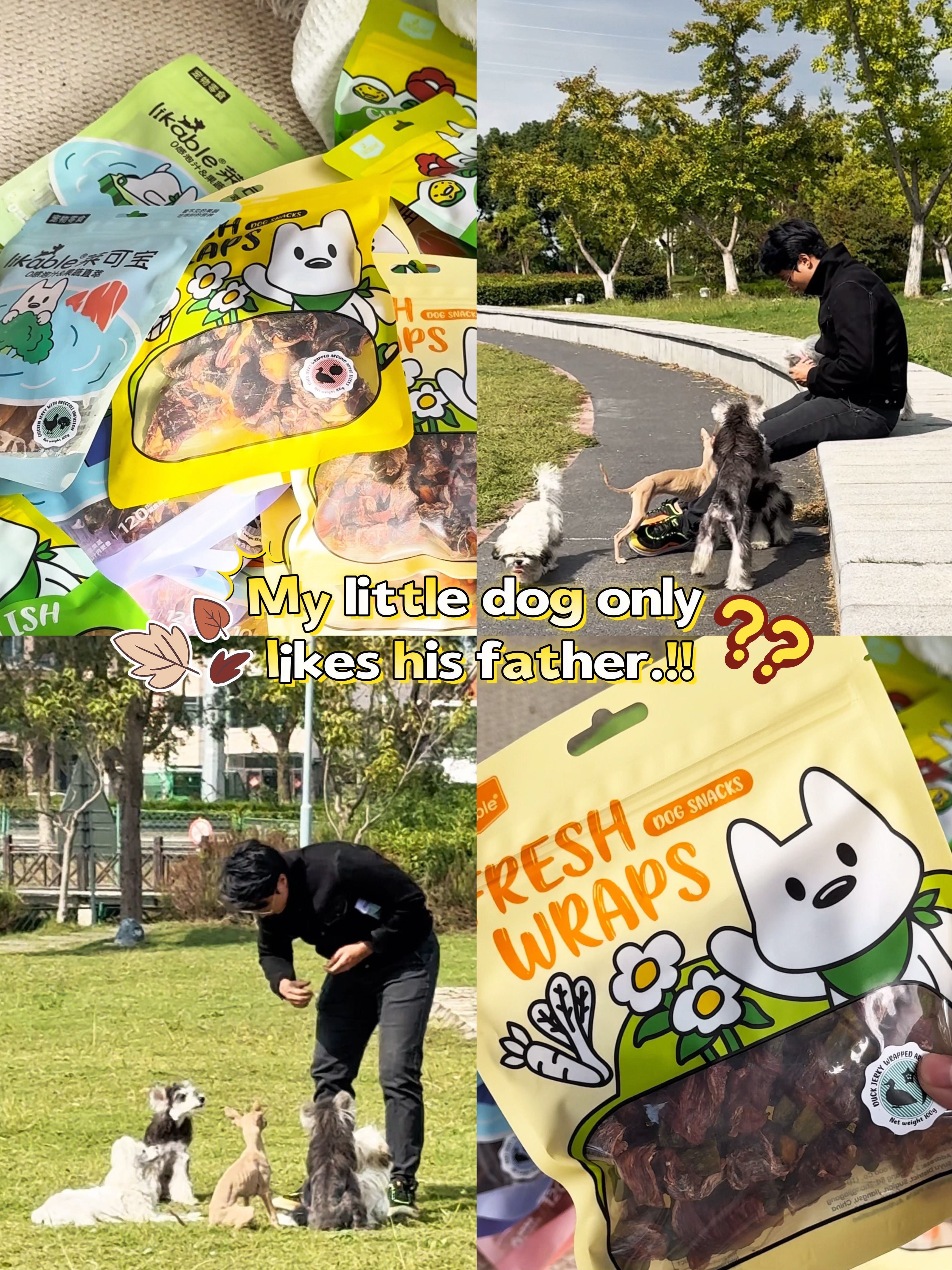 爸爸喊小狗速回的秘密武器！