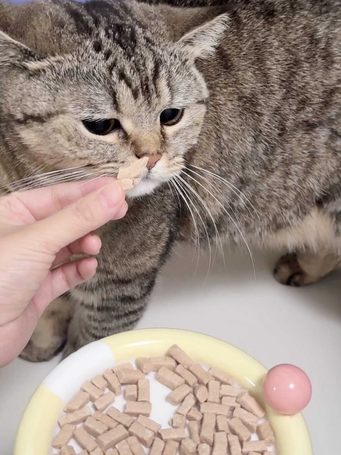 好吃到一口吃掉一大包冻干！