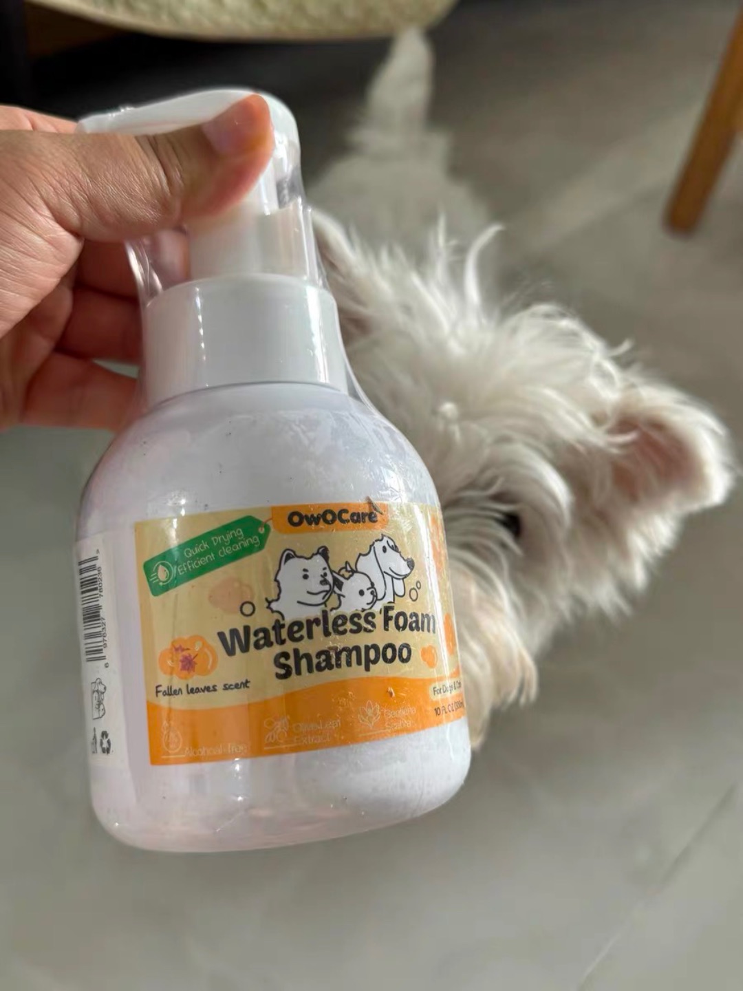 这瓶免洗慕斯也太好用了吧