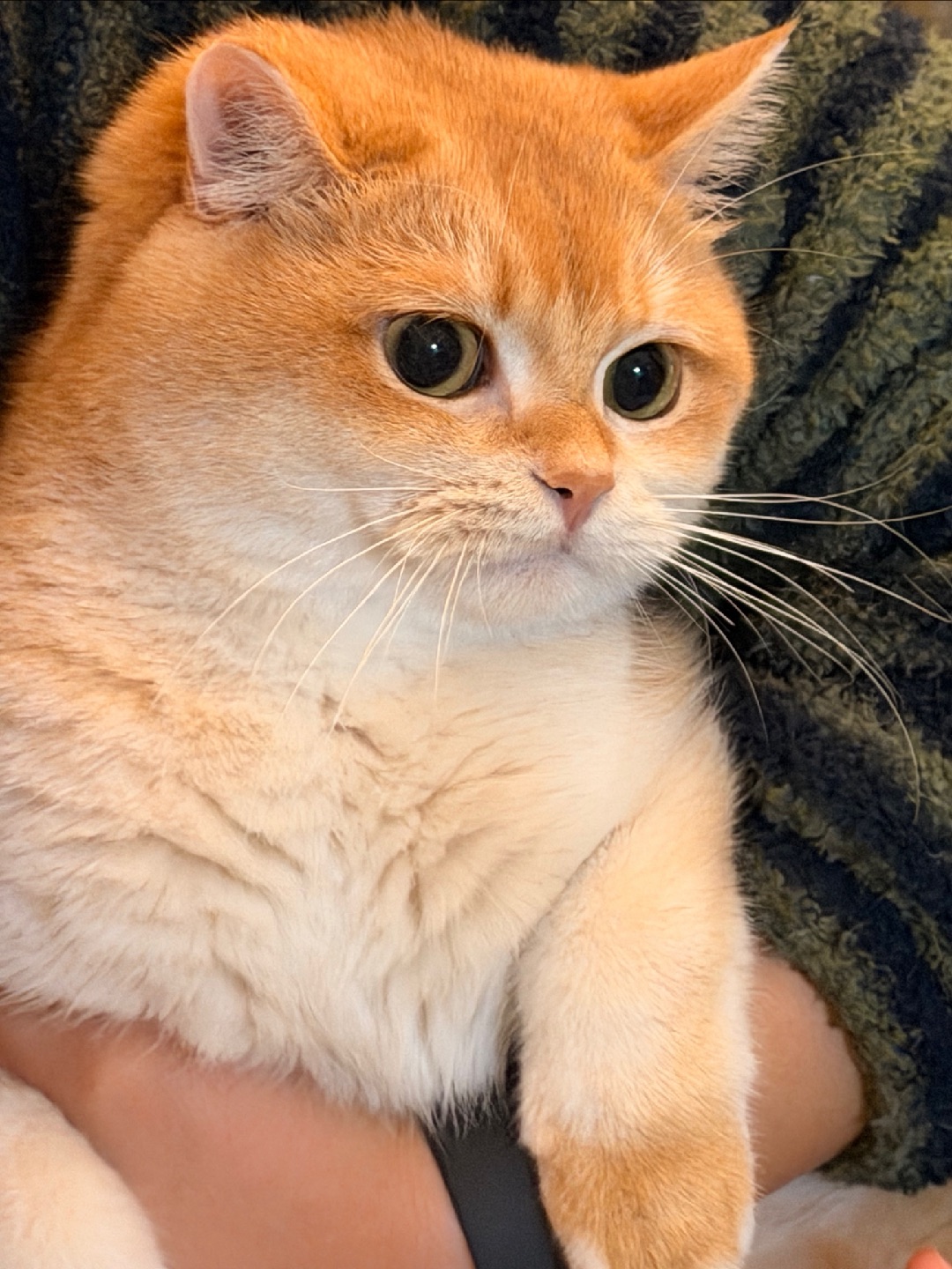 麻麻～ 这样抱着我没法玩游戏啦🫣🫣🫣