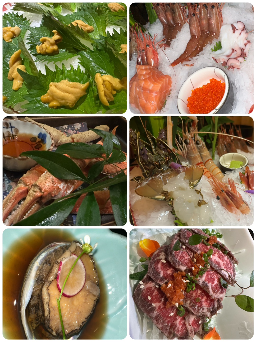 上海万岛自助太可了，家属喊着二刷！