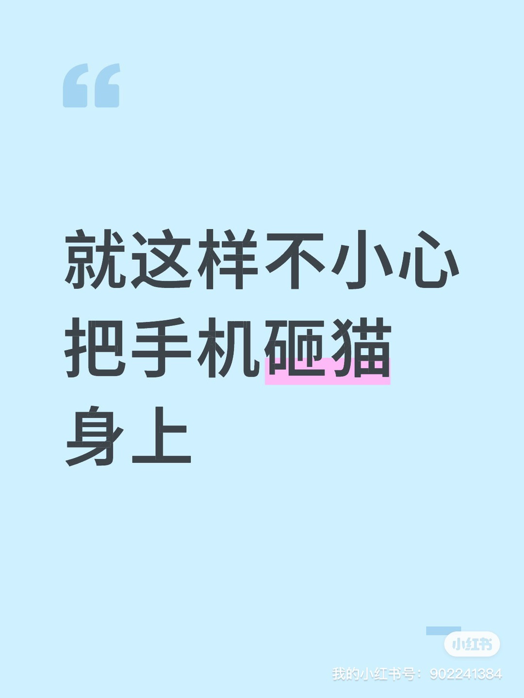 就这样不小心把手机砸猫身上