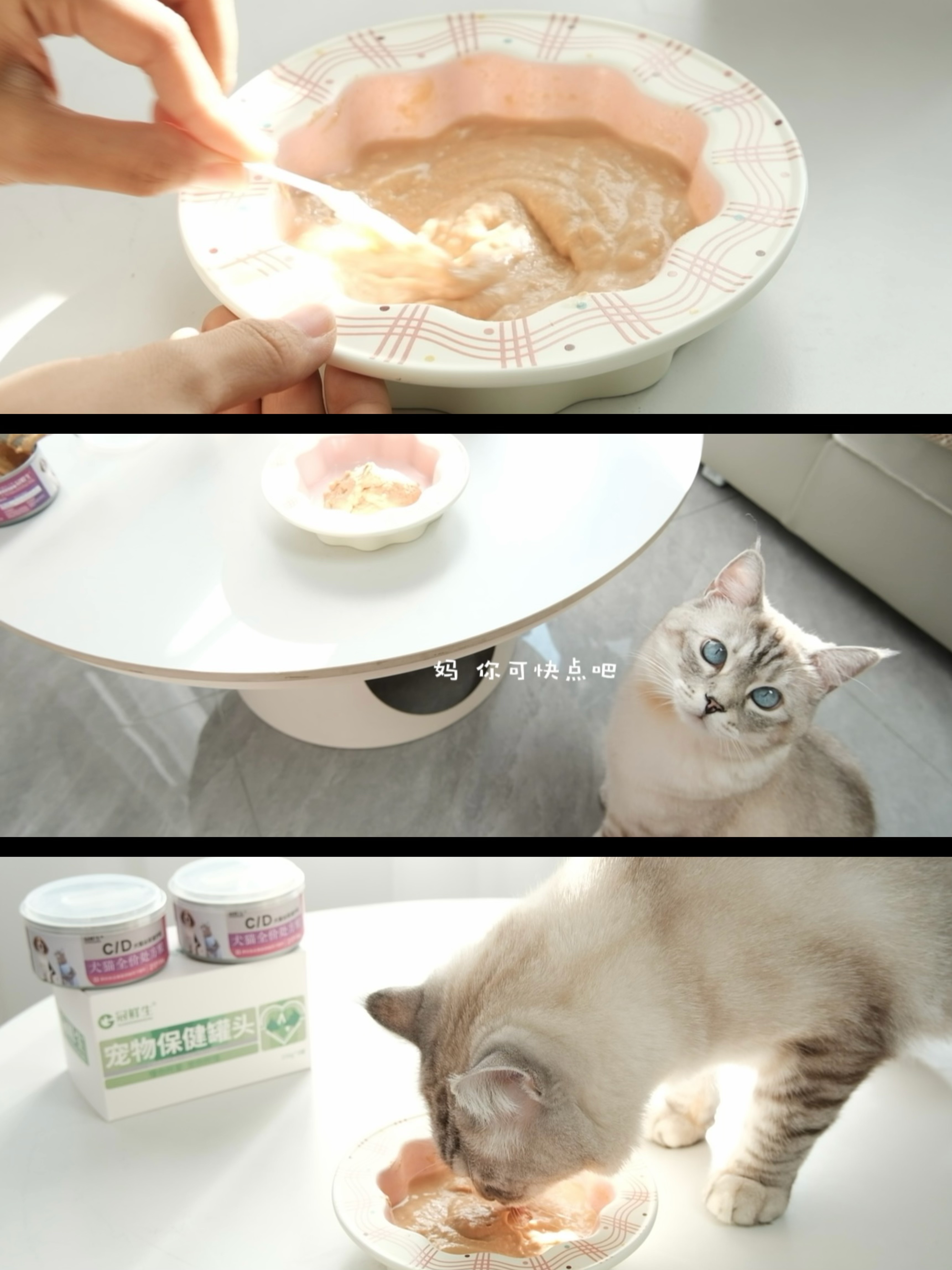 荔枝要早点好起来哦