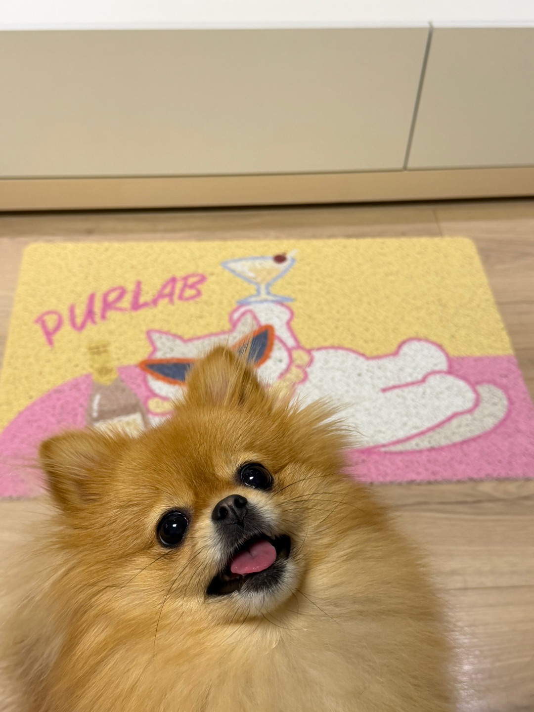 人，邀请你和我一起玩玩具