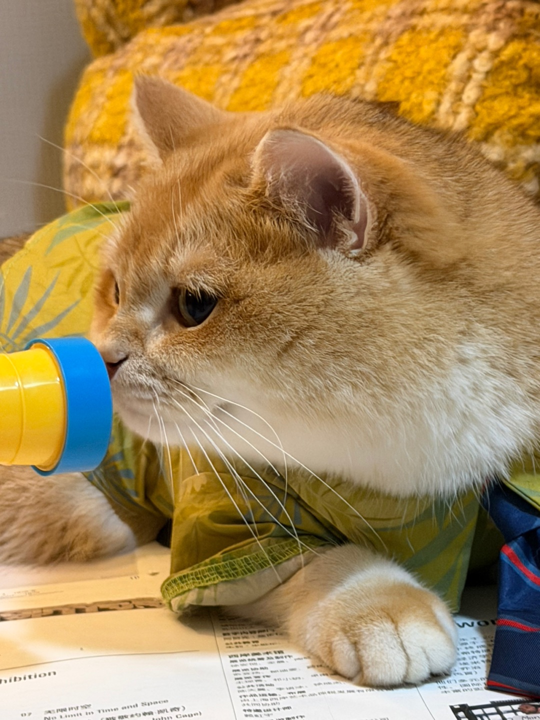 麻麻～ 我反正就是不会被击中哦！