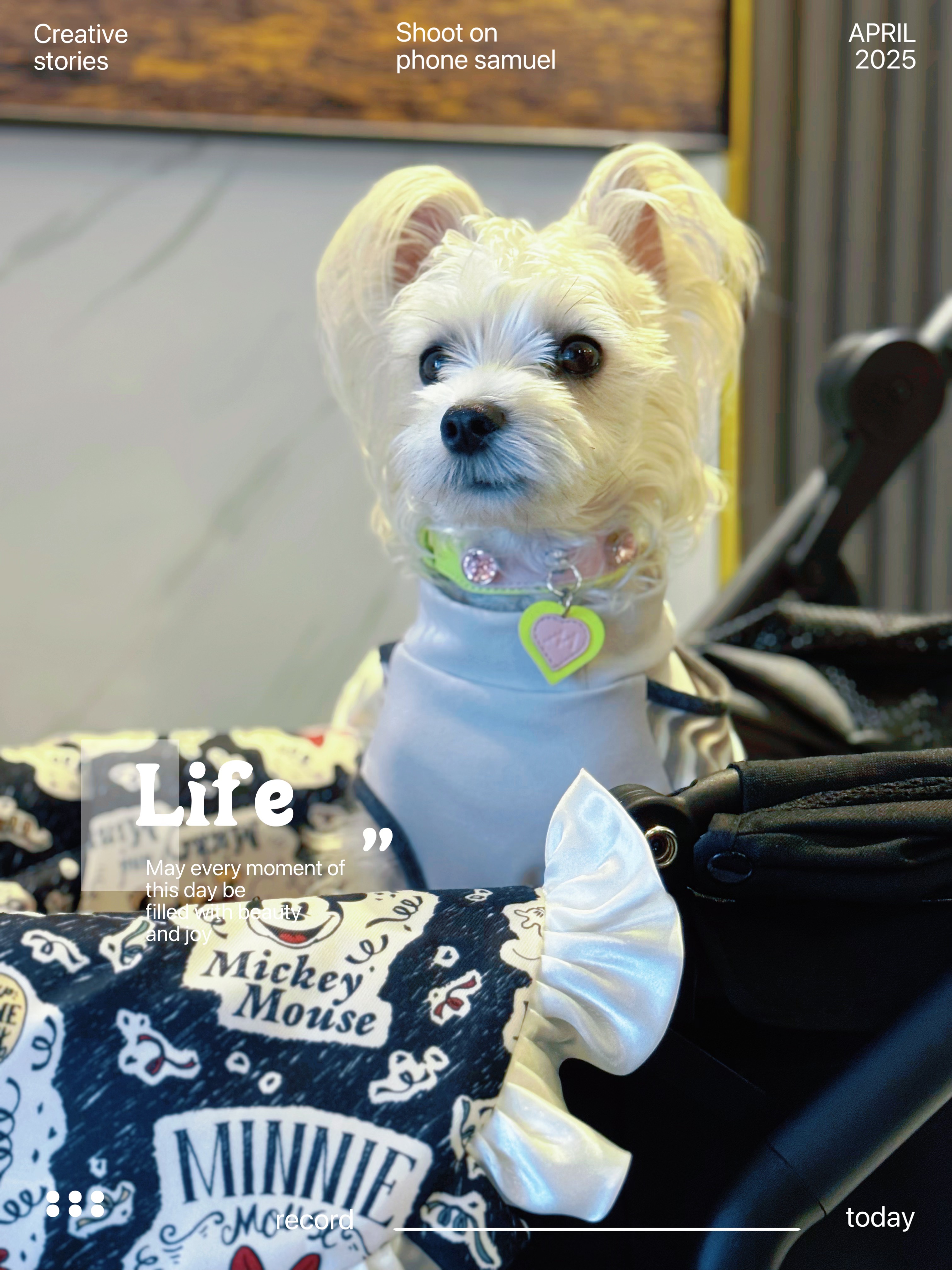 小狗咆哮：地球女人？和火星女人？哪个可怕