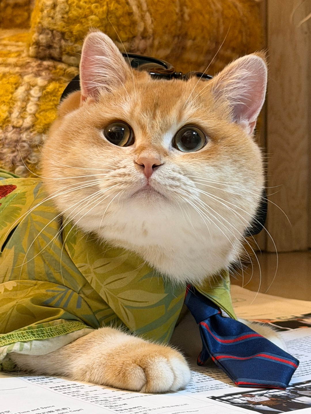 天下第一我最帅！啊哈哈哈哈哈哈