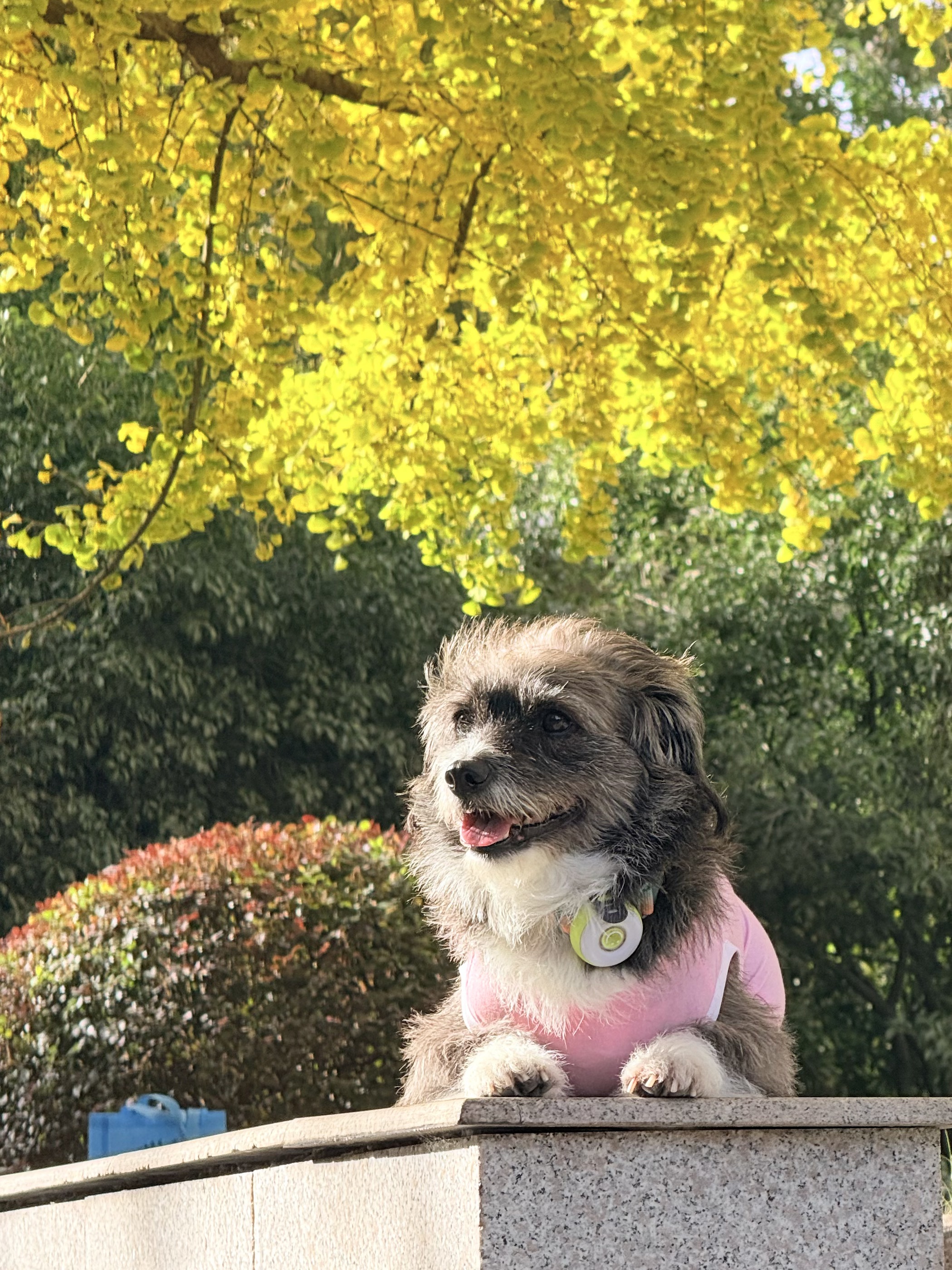 谁懂这一刻的救赎感