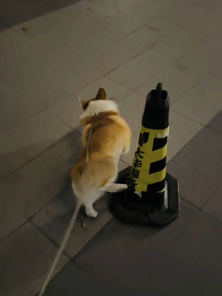 这个雪糕桶怎么那么大