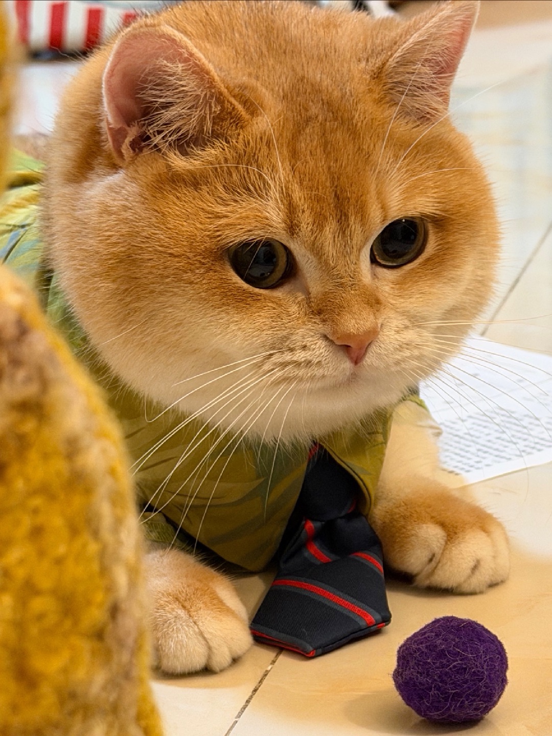 麻麻 ～ 我的头有没有很圆🤣🤣嘻嘻