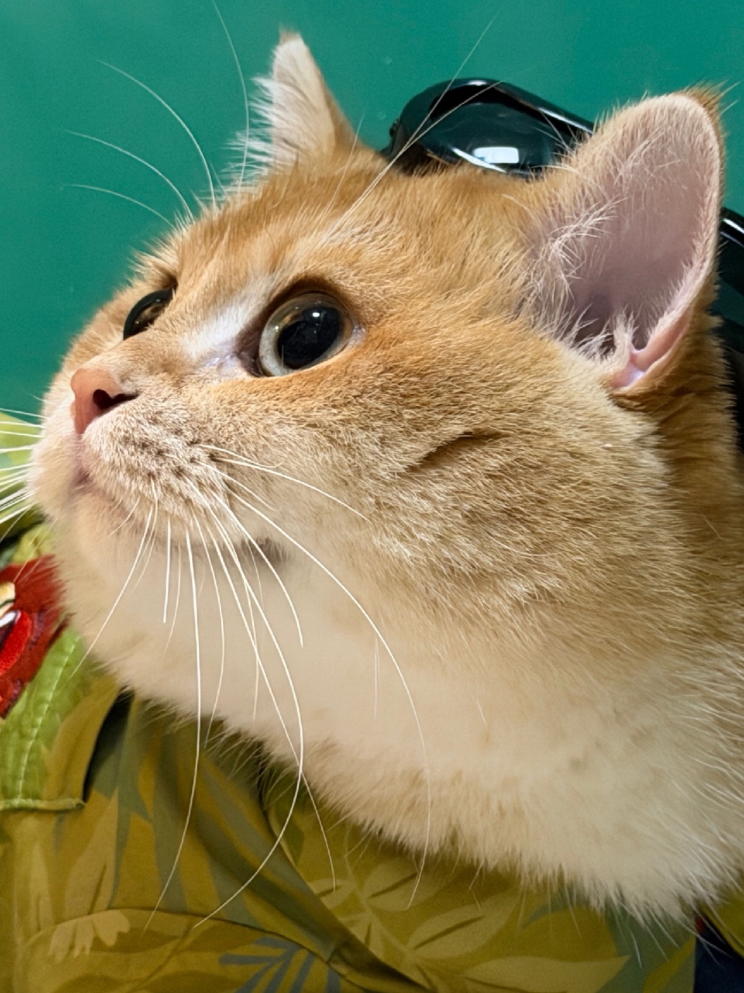 我瞅瞅麻麻在做什么好吃的 🫣🫣🫣