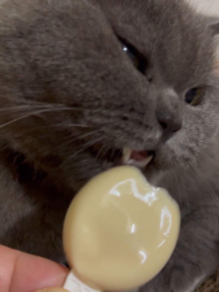 舌头都舔出火星子啦！