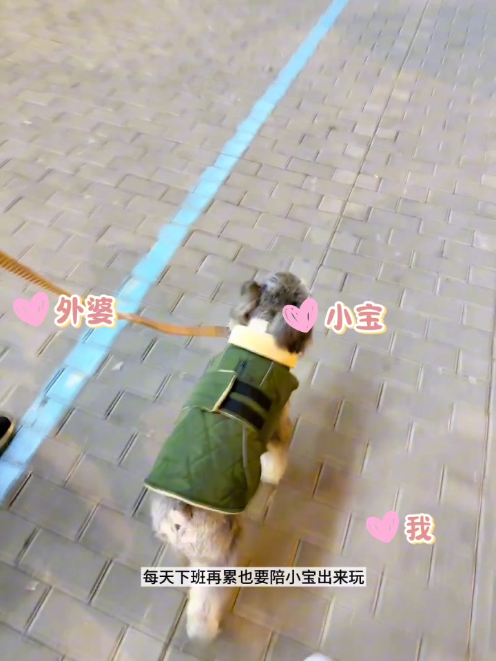 一分钟体验我的下班生活🐕