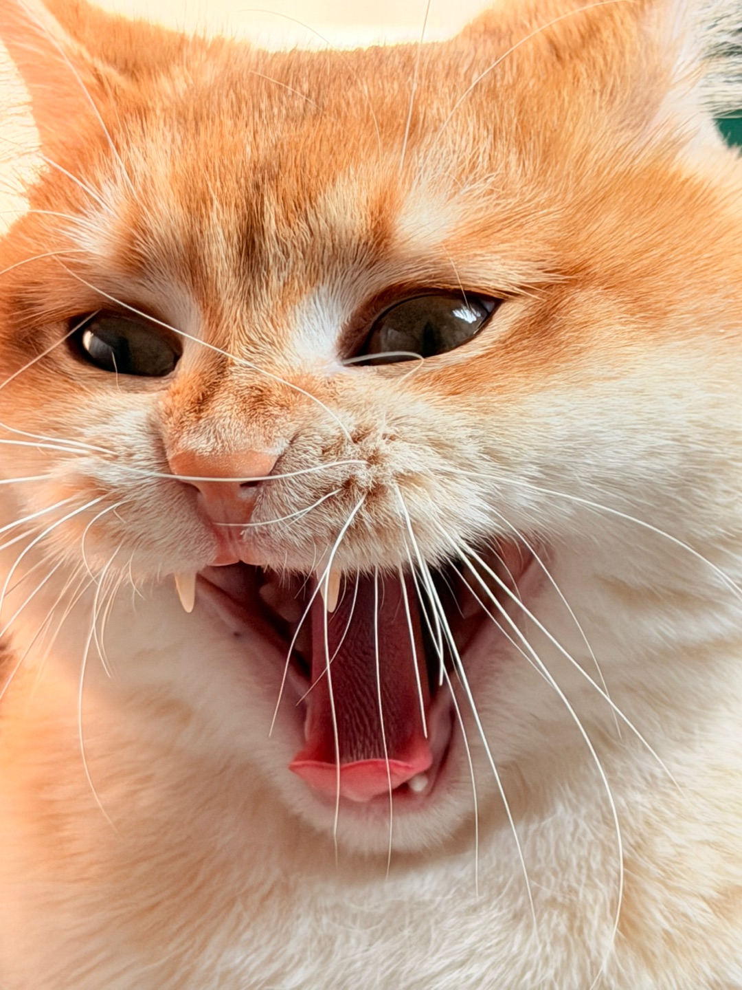 上一秒，下一秒