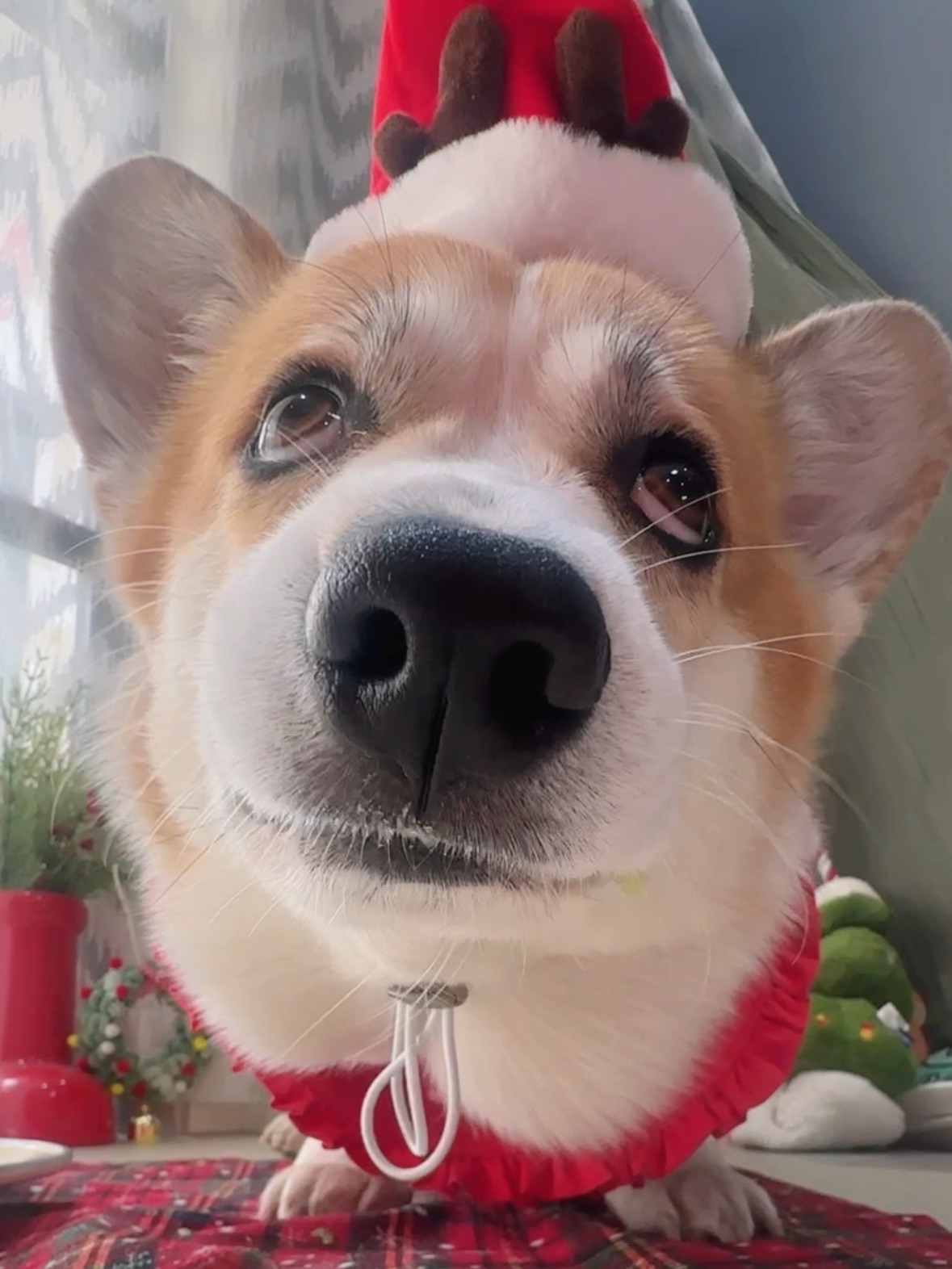 救命！室友吃东西吧唧嘴好吵！